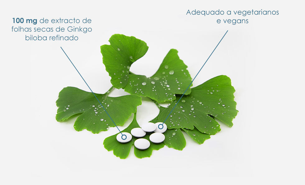 BioActivo Biloba Forte 100 mg ‑ 150 Comprimidos