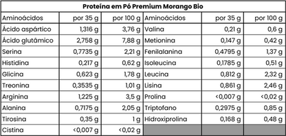 MEGARAWBAR Proteína em Pó Premium Morango Bio - 525 g