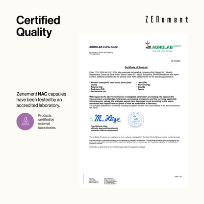 ZENement NAC 600 mg - 180 Cápsulas Vegan