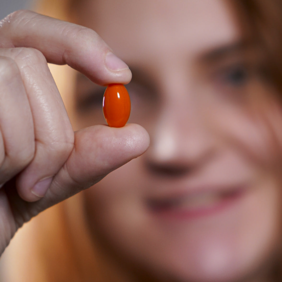 Vitafor Curcuma Plus - 60 Comprimidos