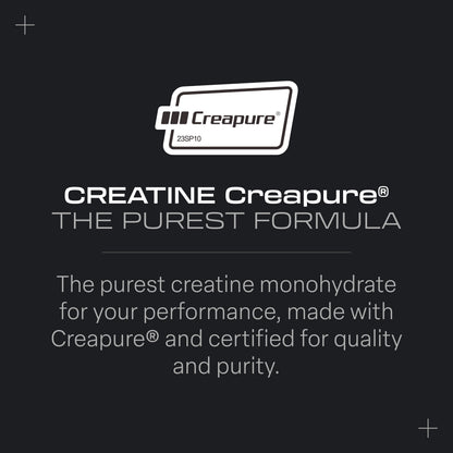 Beverly Creatina Monohidratada Creapure® - 300 g - Sem Sabor