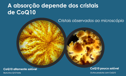 BioActivo Q10 Forte 100 mg - 90 Cápsulas